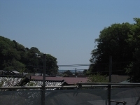 IMG_2429.jpg