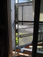IMG_2430.jpg