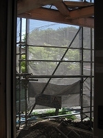 IMG_2435.jpg