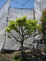IMG_2443.jpg