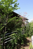 IMG_3788.jpg