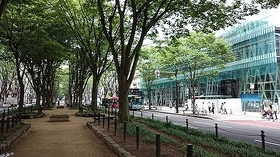 DSC_0138.jpg
