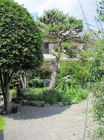IMG_2622.jpg