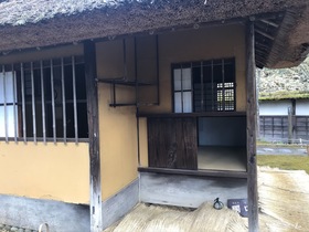 IMG_4681.JPEG