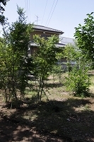 IMG_6203.jpg