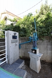 IMG_6322.jpg