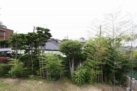 IMG_8961.jpg