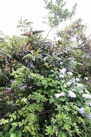 IMG_9179.jpg