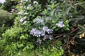IMG_9183.jpg