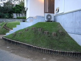 R0034082.jpg