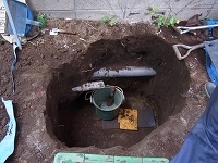 RIMG6678.jpg
